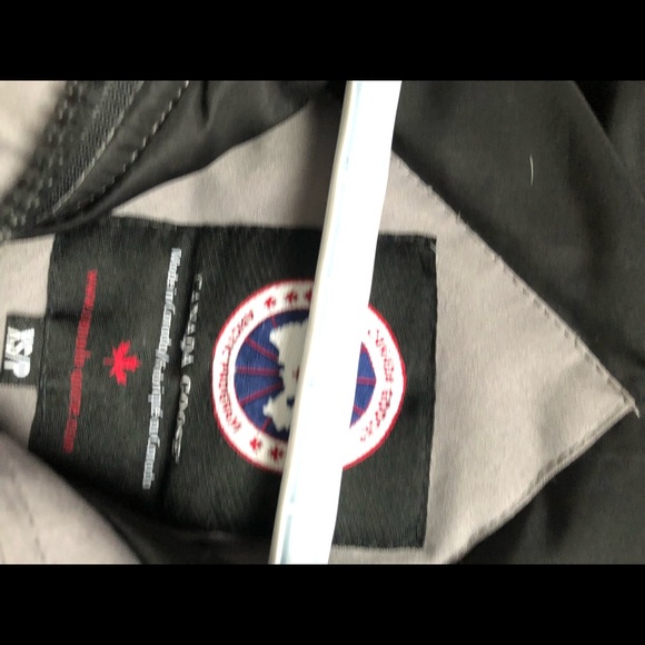 Gray Canada goose for sale - Picture 8 of 11